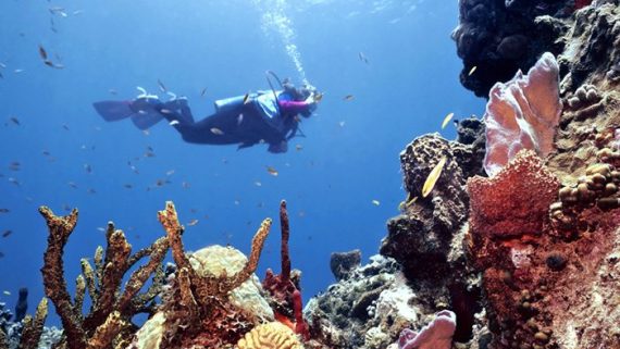 Belize Scuba Diving